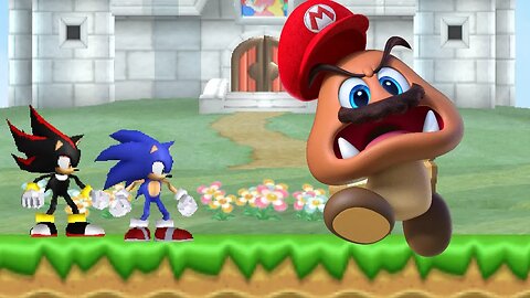 New Super Sonic Bros. Wii: Sonic Adventure - 2 Player Co-Op Walkthrough #236 (HD)