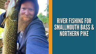 River Fishing For Smallmouth Bass & Northern Pike / Michigan Fishing / River Fishing With Lures