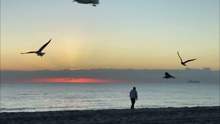 Sunrise in Miami Beach 🌅🏖 (Timelapse)