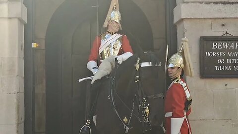 King's guard tells the horse (arnie) no he tries nip him #horseguardsparade