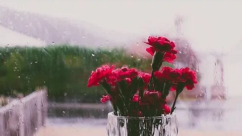 Calming Rain Sounds for Relaxation and Sleep