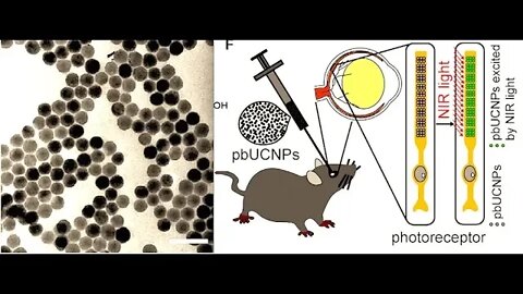 New Nanotechnology, Injected Intro Eyeball Gives Near Infrared Vision, Really!