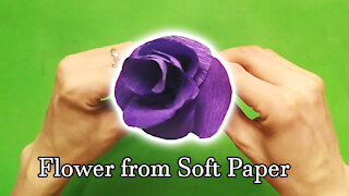 How to make flower from soft paper | BDIY