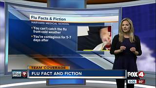 Flu Fact and Fiction