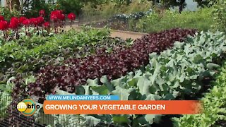 Melinda’s Garden Moment - Beautiful and Productive Vegetable Gardens and Containers
