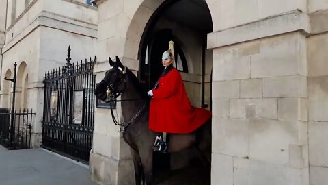 Horse gets spooked horse guards parade by protester 7 March 2022