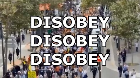 DISOBEY DISOBEY DISOBEY