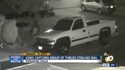 Video captures groups of thieves stealing mail in Paradise Hills