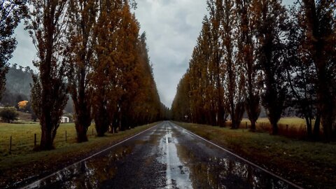 Rain over beautiful Gould Memorial Drive in autumn colors in Australia