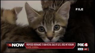 Proposed ordinance to ban dog, cat sales withdrawn