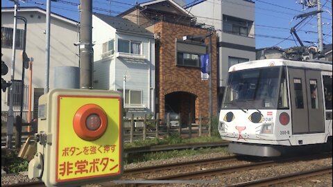 Lucky. Cat Train in Tokyo