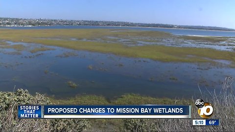 Proposed changes to Mission Bay wetlands