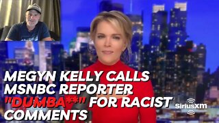 Megyn Kelly Calls MSNBC Reporter "Dumb** for Racist Comments