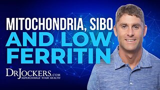 Q & A on Mitochondria, SIBO, Low Ferritin, High Cortisol, and Joint Health!