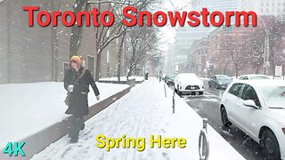 【4K】Snowstorm walk Toronto Canada 🇨🇦 Downtown Snowfall walk
