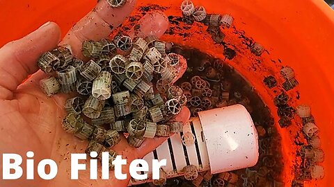 Bio filter update (aquaponics filtration)