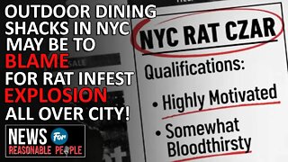 NYC posts ad for "Rat Czar" as the rodent population explodes post-covid