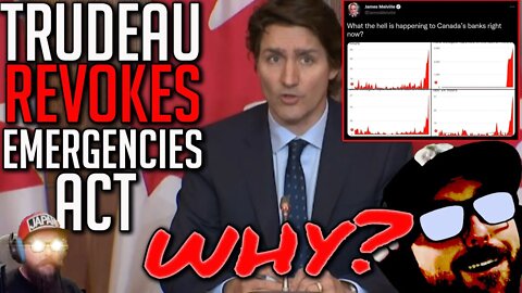 Why Trudeau Revoked the Emergencies Act - Canadian Bank Run? - Freedom Convoy 2022