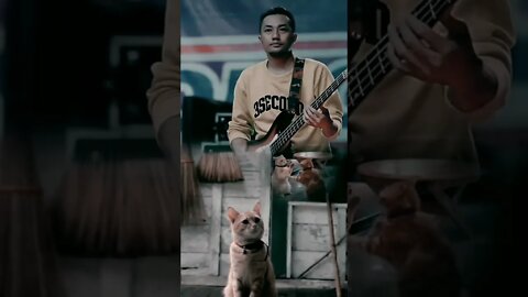 kucing Oren #shorts #pagarquotes #musikviral #musicvideo