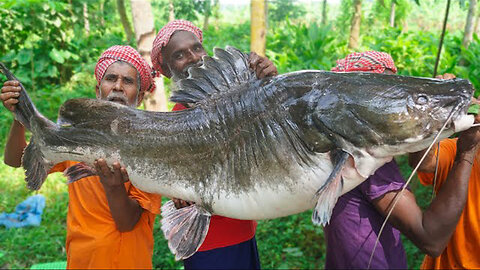 149 Pounds Giant Long Catfish Cutting & cooking