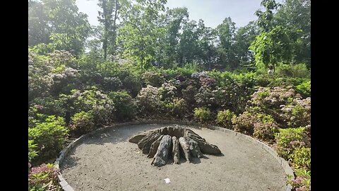 New England Arboretum #Slideshow