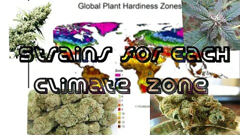 In a Good Growing Climate? Global Hardiness Zones (The Grow Variety Show ep.185)