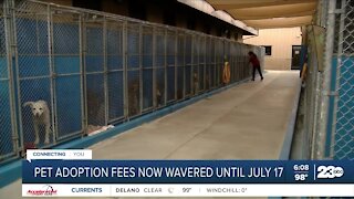 Pet adoption fees waived until July 17