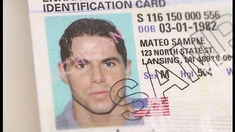 Bill package would give driver’s licenses to undocumented immigrants in Michigan