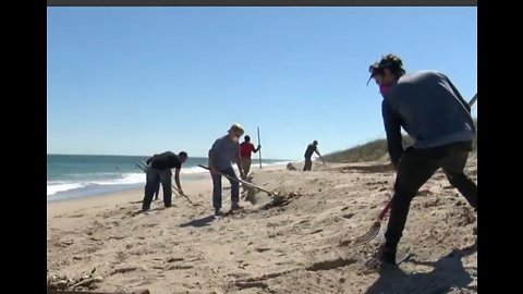 Red Tide conditions improve; Indian River County beaches remain closed