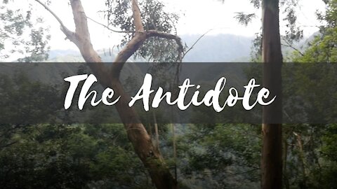"The Antidote" ~ Spiritual Food For Thought