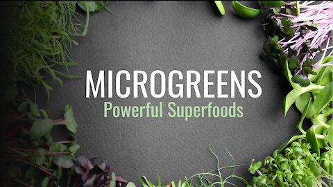 Microgreens Powerful Superfood