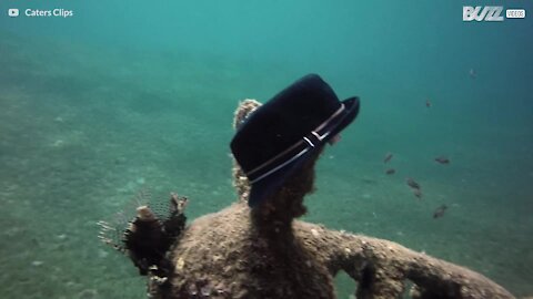 Struttura a forma di asino sui fondali del Mar Rosso