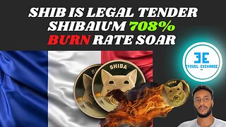 Shibarium Massive News: SHIB is legal tender in FRANCE Retail Stores & Burn Rate 708%