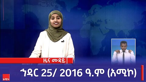 ምሽት 12:00 ዜና ሙዳይ ባሕር ዳር: ኅዳር 25/ 2016 ዓ.ም (አሚኮ)