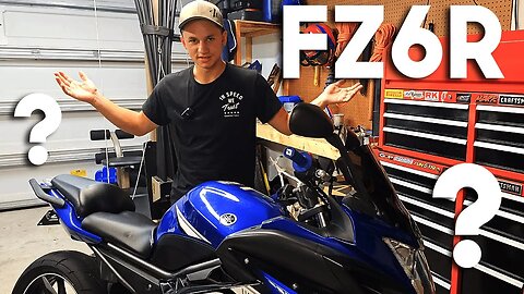 Where Does the FZ6R Belong in the Motorcycle World