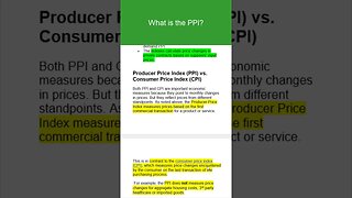 What is the Producer Price Index (PPI)?