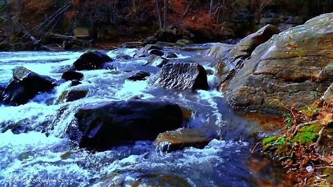 Relaxing Patapsco Valley River - The Perfect Way to Relax Before Bed