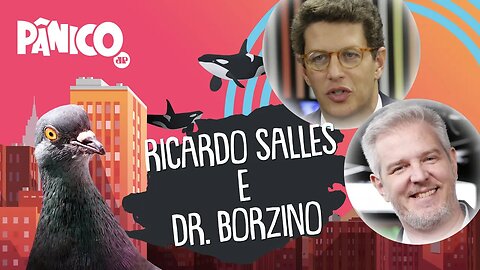 Ricardo Salles e João Borzino | PÂNICO - AO VIVO - 24/04/20