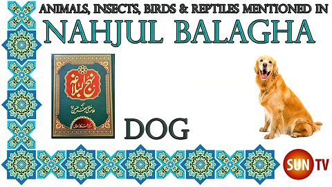 Dog - Animals, Insects, Reptiles & Amphibians mentioned in Nahjul Balagha (Peak of Eloquence)