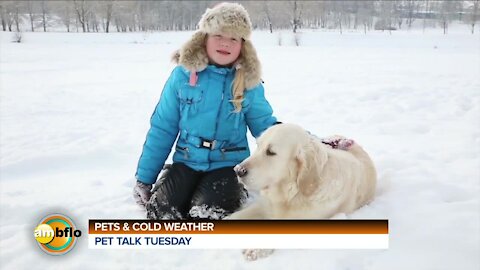 PET TALK TUESDAY - PETS AND THE COLD WEATHER