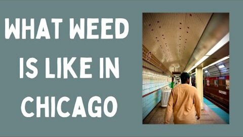 First Impression of Weed in Chicago