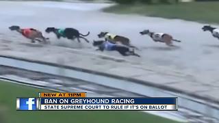 Florida Supreme Court to weigh in on greyhound racing ban
