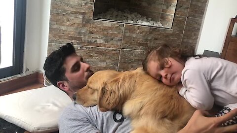 This sweet Golden Retriever gets love from the entire family