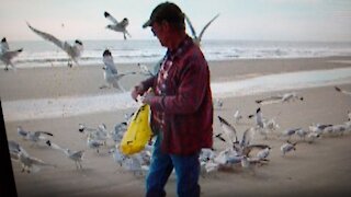 2012 DAD FEEDING THE SEAGULLS MYRTLE BEACH