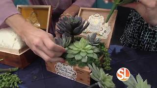 Learn how to create beautiful succulents for your home