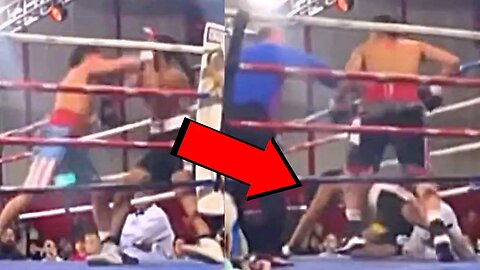 Walid Sharks BRUTAL TKO Win In Second Pro Fight