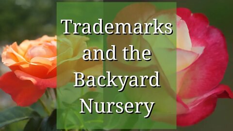 Trademarks and the Backyard Nursery