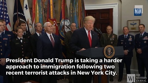 Trump Vows Immediate Immigration Change After New York Attack