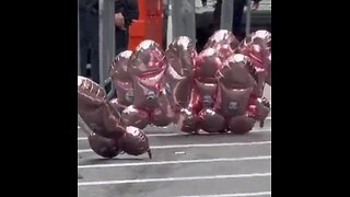 Scott LoBaido Let's Loose Penis Balloons Outside NYC Trump Courthouse