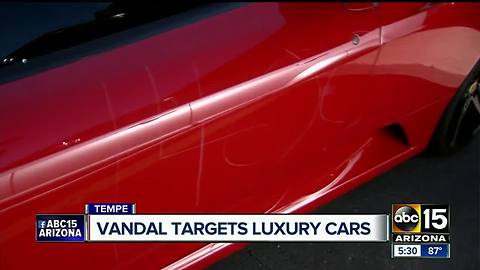 High end vehicles vandalized at Tempe car dealership